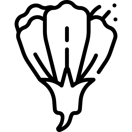 Pea botanical blossom nature icon Pea botanical blossom nature icon