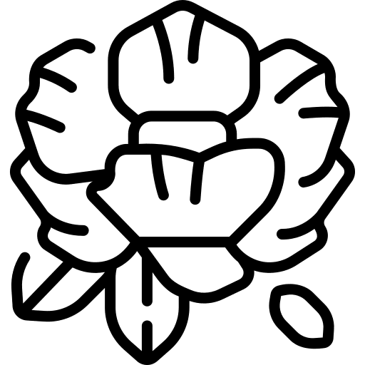 Peony nature blossom botanical icon Peony nature blossom botanical icon