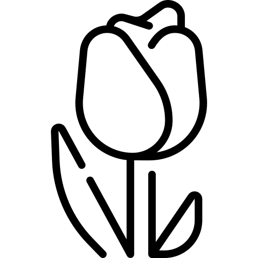 Tulip flowers botanical petals icon