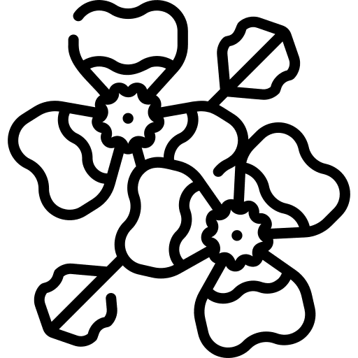 Violet plant botanical flowers icon Violet plant botanical flowers icon