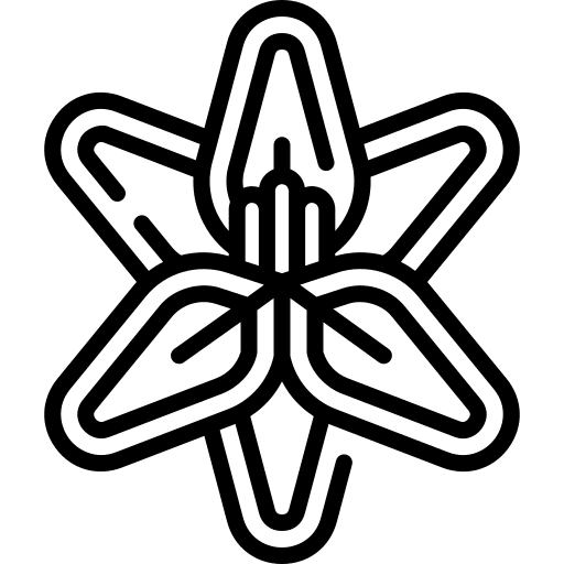 Amaryllis blossom botanical plant icon Amaryllis blossom botanical plant icon