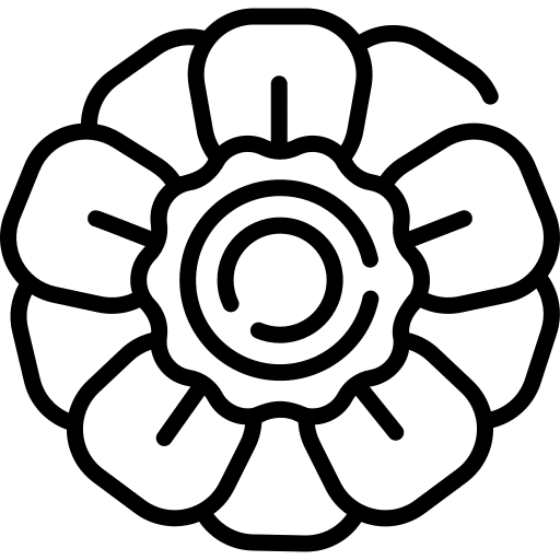 Anemone plant nature flowers icon Anemone plant nature flowers icon