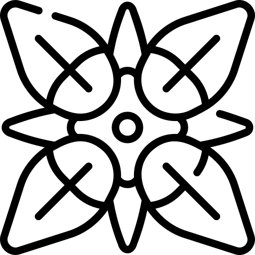 Bouvardia flowers nature plant icon Bouvardia flowers nature plant icon