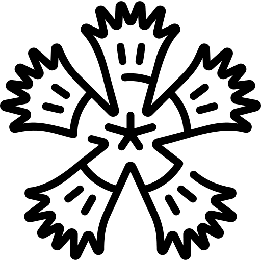 Fringed dianthus nature botanical plant icon Fringed dianthus nature botanical plant icon