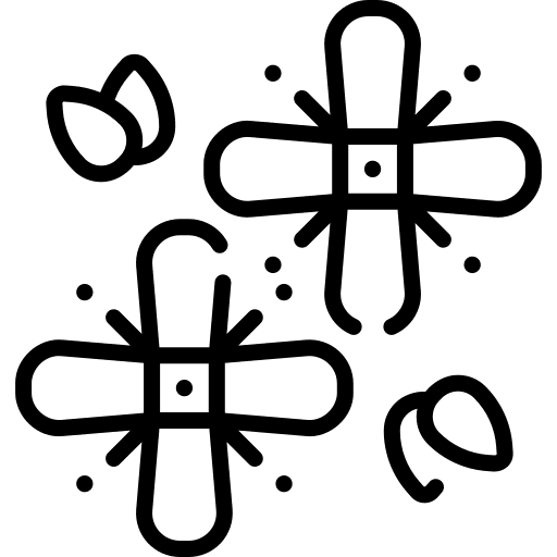 Garlic mustard blossom flowers nature icon Garlic mustard blossom flowers nature icon