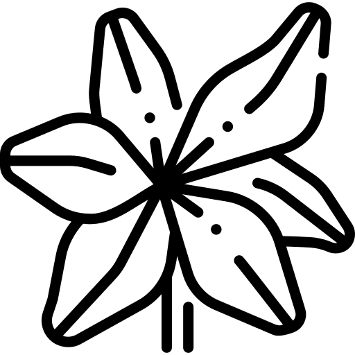 Tiger lily botanical plant tiger lily icon Tiger lily botanical plant tiger lily icon