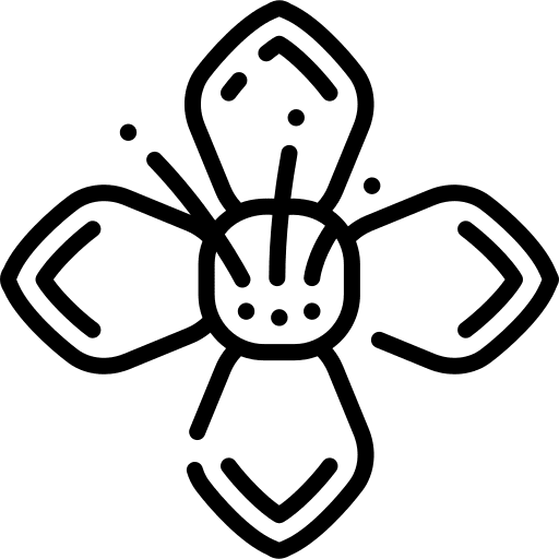 Arugula arugula nature blossom icon Arugula arugula nature blossom icon