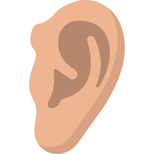 Ear anatomy body parts ear icon