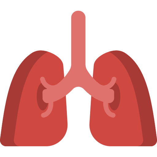Lung breath healthcare and medical lungs icon