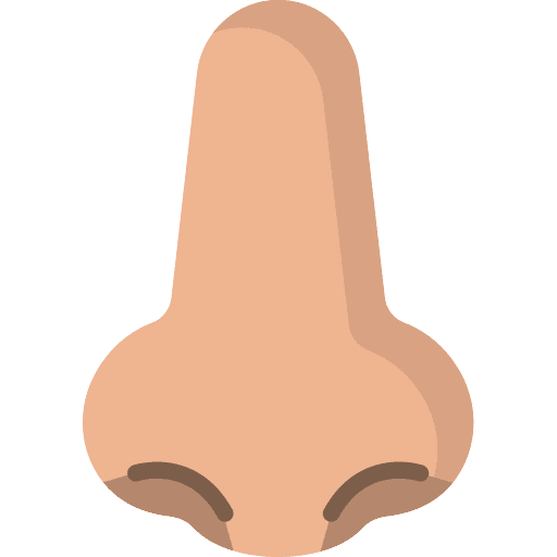 Nose body parts healthcare and medical face icon