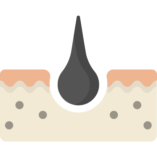 Skin skin dermathology epidermis icon