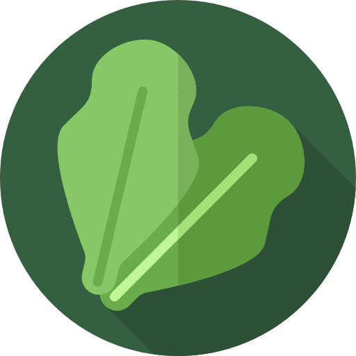 Lettuce food and restaurant lettuce vegan icon