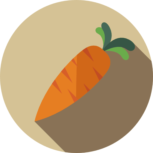 Carrot vegetable food organic icon