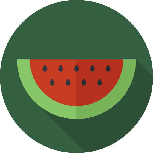 Watermelon organic watermelon healthy food icon