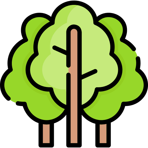 Forest wood forest trees icon