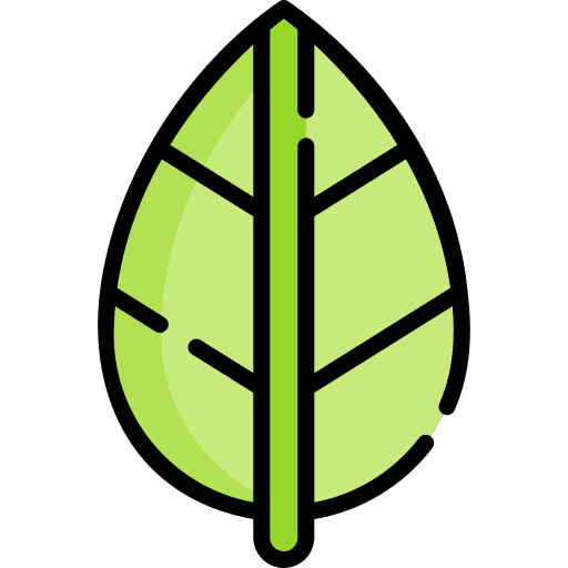 Leaf garden nature plant icon