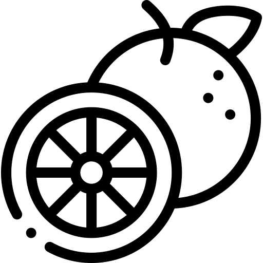 Orange healthy food food and restaurant orange icon Orange healthy food food and restaurant orange icon