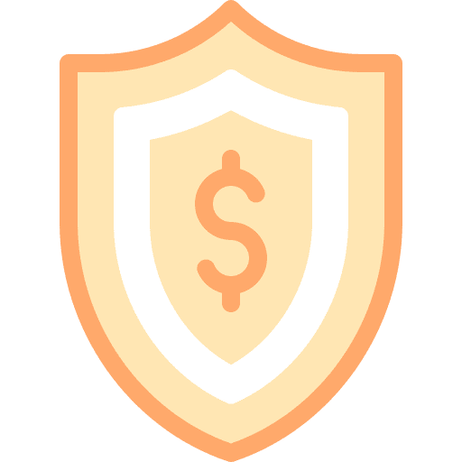 Protection shield dollar protection icon