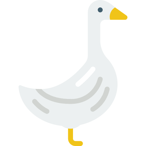 Goose duck duckling animals icon