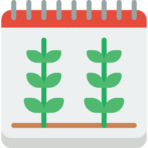 Date calendar page calendars icon