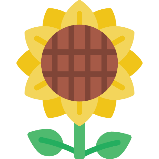 Sunflower gardening sunflower nature icon