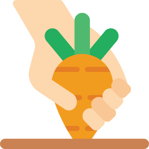 Carrots diet vegetarian vegetables icon