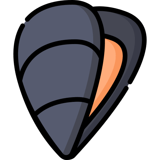 Mussel sea life mussel mollusc icon