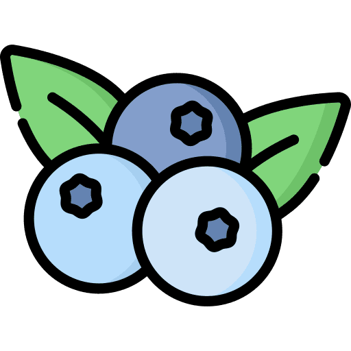 Blueberry berry healthy food fruit icon