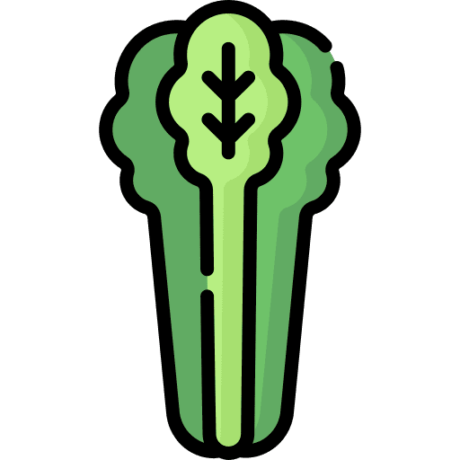 Celery celery vegetarian vegetable icon