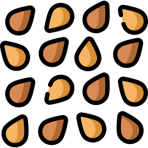 Sesame food organic sesame icon