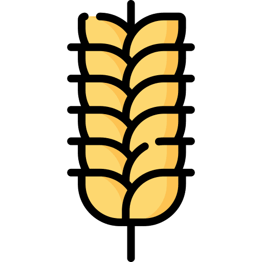 Wheat malt rice grain icon