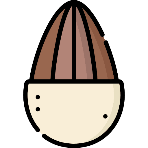 Almond organic allergen food icon