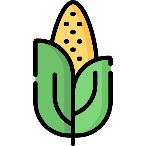 Corn healthy food vegan diet icon