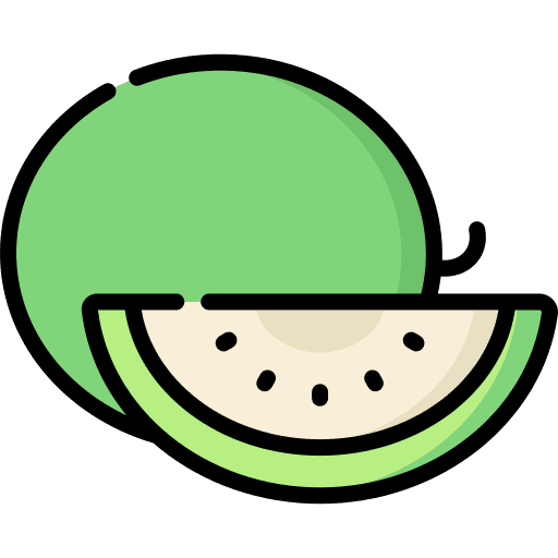 Melon allergen melon fruit icon