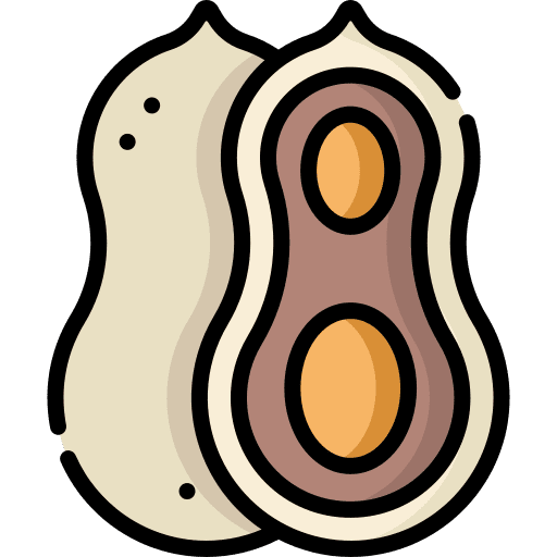 Peanut nut food and restaurant vegan icon