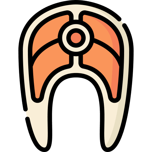 Salmon slice protein allergen icon