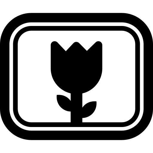 Photo flower photo interface icon