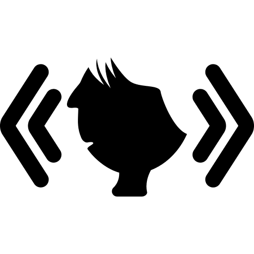 Arrows both sides photo icons icon