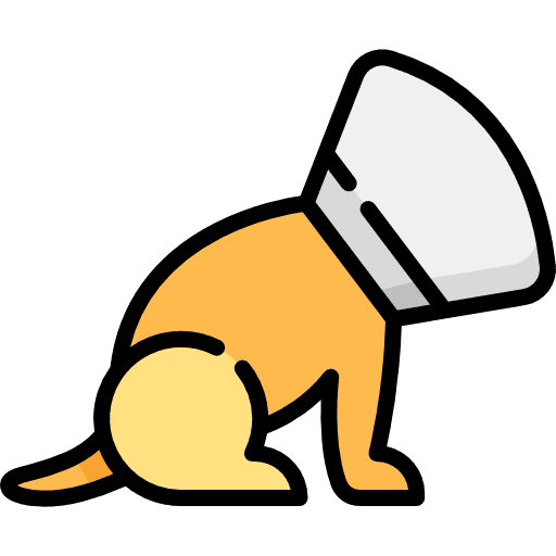 Elizabethan collar pets elizabethan collar dogs icon Elizabethan collar pets elizabethan collar dogs icon