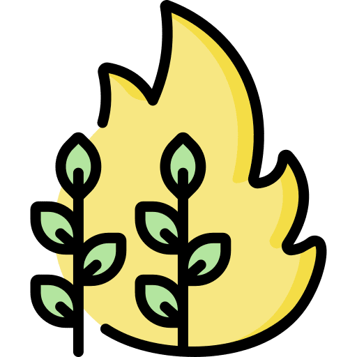 Harvest sprouts ecology and environment fire icon Harvest sprouts ecology and environment fire icon