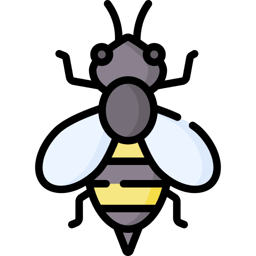 Bee honey spring insect icon Bee honey spring insect icon
