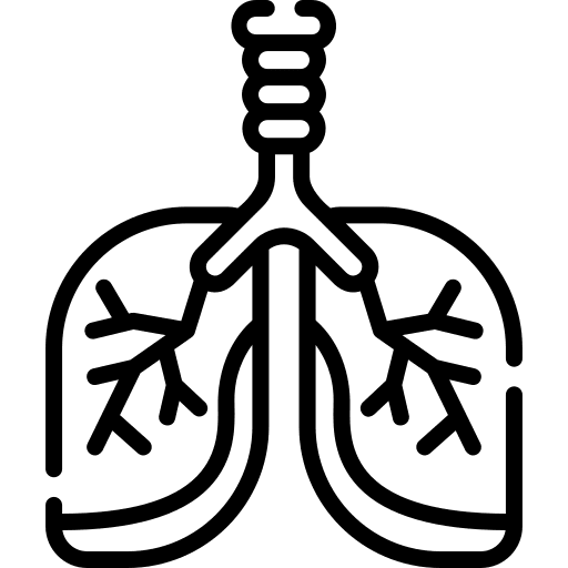 Lung anatomy human body healthcare and medical icon