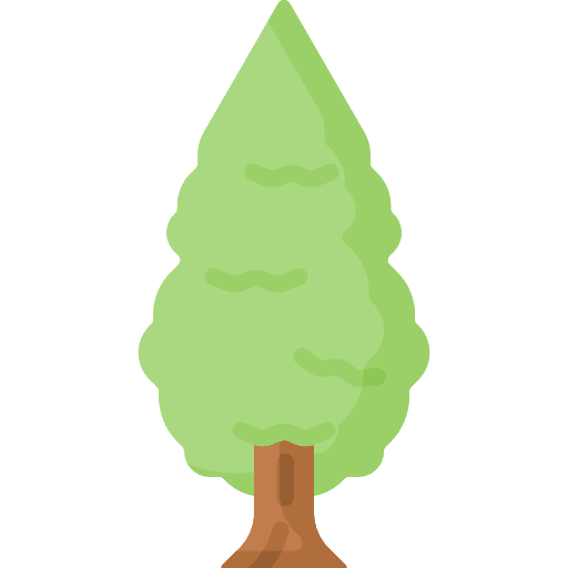 Tree botanical tree yard icon