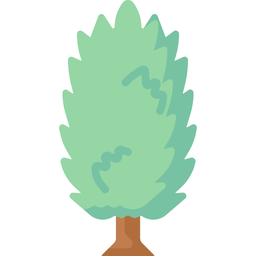 Tree botanical yard ecology icon