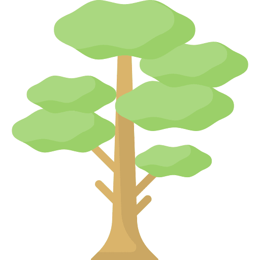 Tree ecology botanical tree icon
