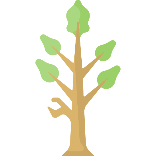 Tree garden yard botanical icon