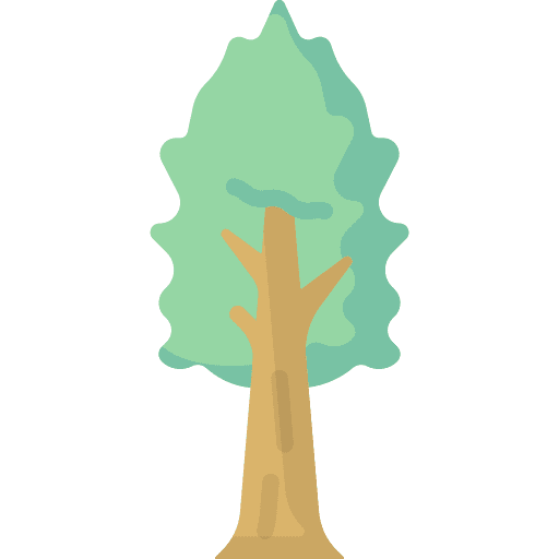 Tree tree botanical ecology icon