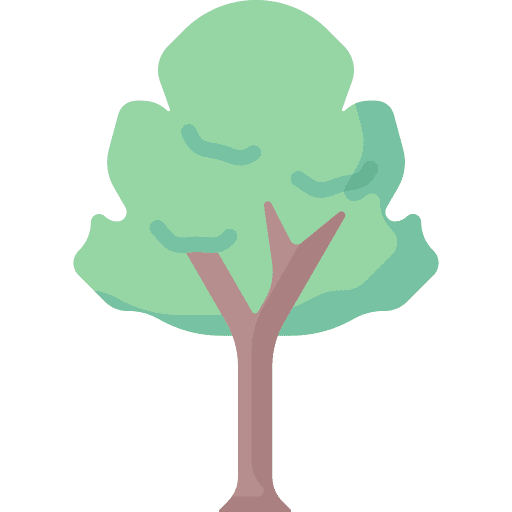 Tree tree yard nature icon