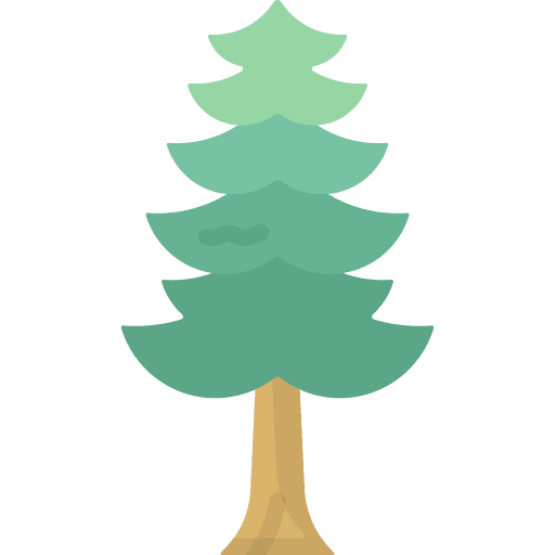 Tree botanical nature tree icon Tree botanical nature tree icon