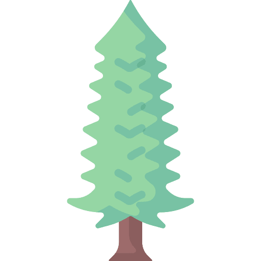 Tree tree ecology yard icon Tree tree ecology yard icon